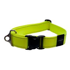 Rogz Dayglow Yellow Landing Strip