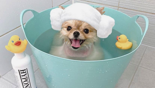 Finding the Best Dog Shampoo for Sensitive Skin in Ireland